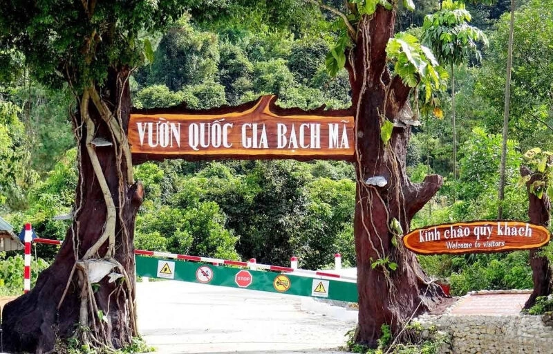 Bãi biển Lăng Cô