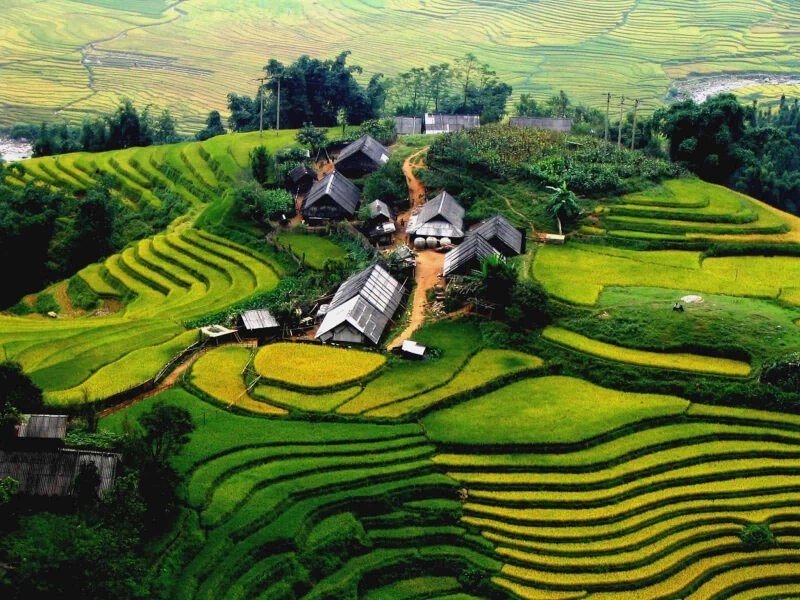 Bản Tả Phìn Sapa