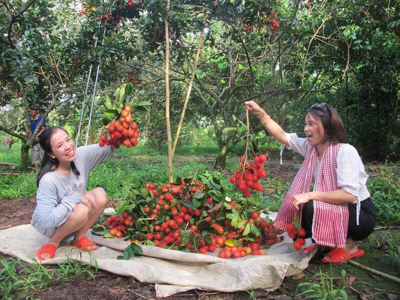 bến tre có gì chơi