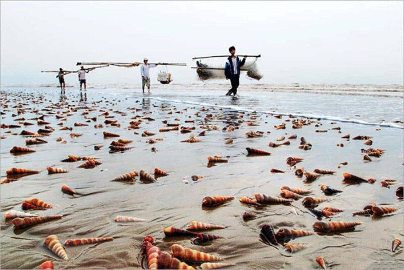 biển thạnh phú bến tre