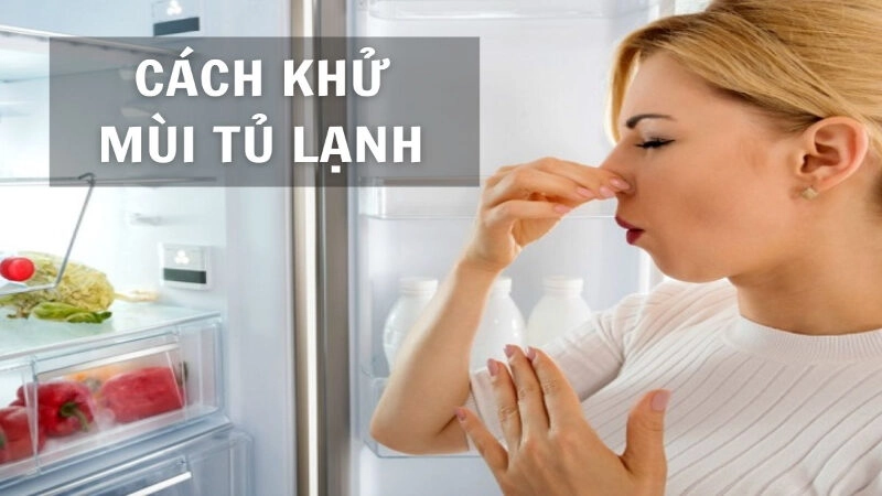 Cách Khử Mùi Tủ Lạnh Mới Hiệu Quả Với 9+ Mẹo Đơn Giản