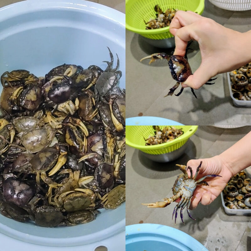 cách nấu lẩu cua đồng