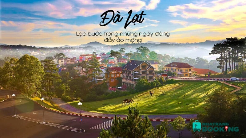 Cảnh Đẹp Ở Đà Lạt Mới Nhất 2025: Nơi Thiên Nhiên Thơ Mộng Giao Hòa