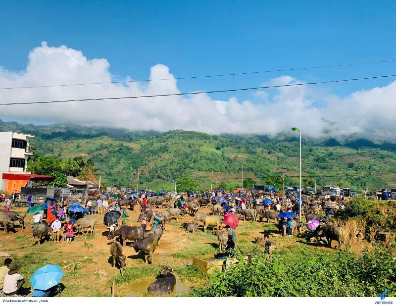 Chợ phiên Sapa