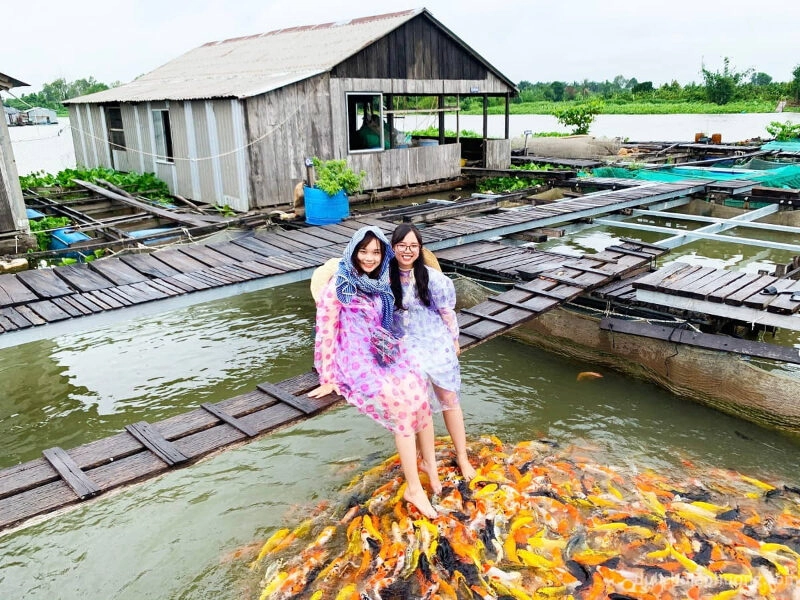 cồn sơn cần thơ