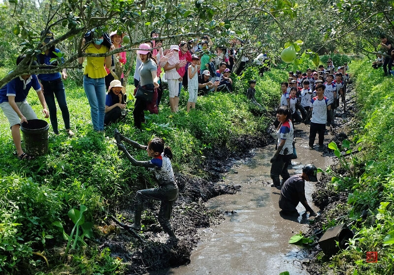 cồn sơn cần thơ