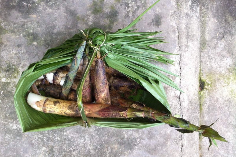 đặc sản Sapa làm quà