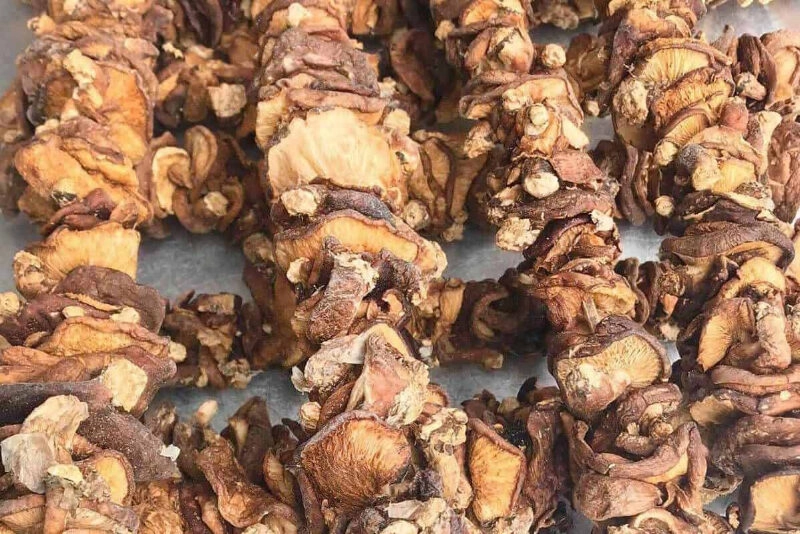 đặc sản Sapa làm quà