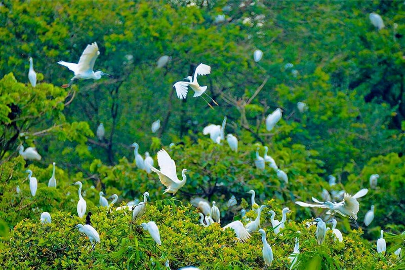 du lịch cần thơ