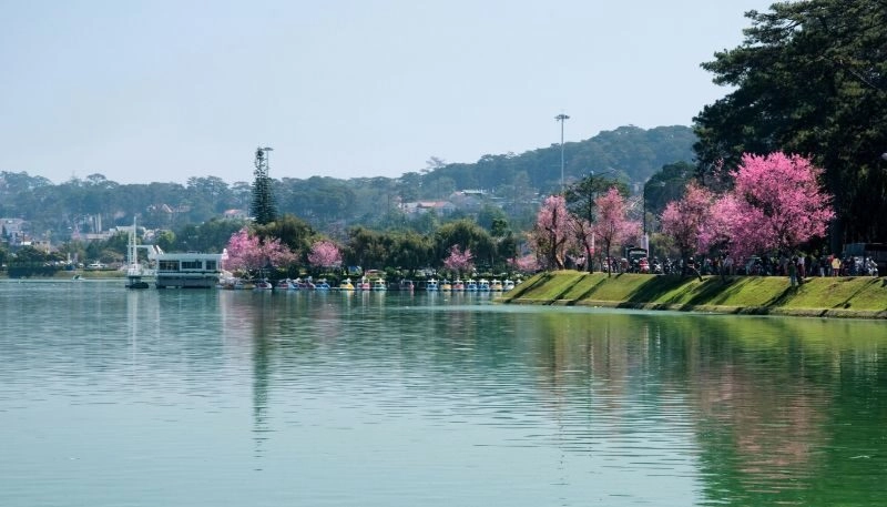 Du Lịch Đà Lạt