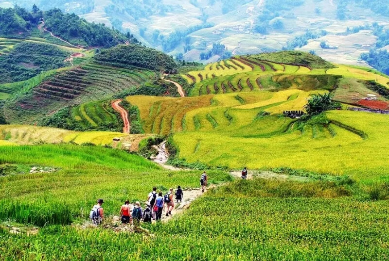 du lịch Sapa