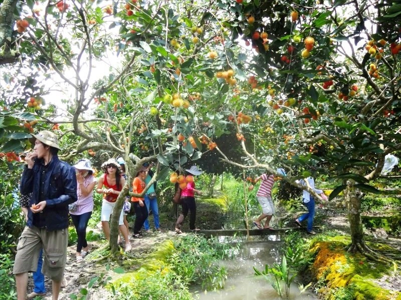 Du lịch trà vinh