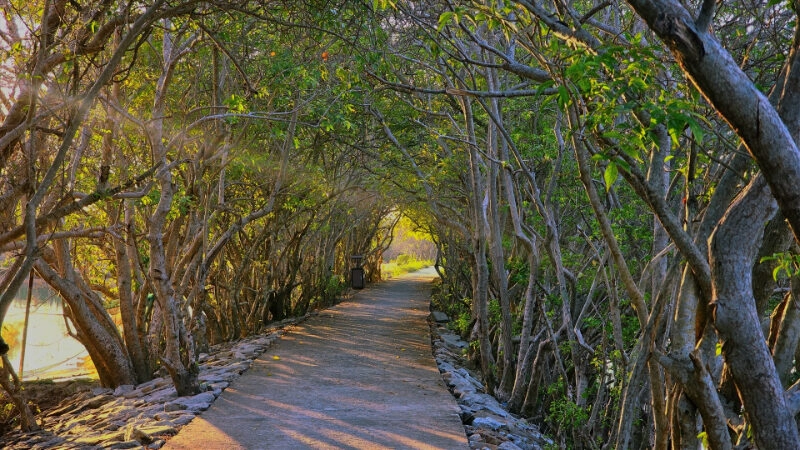 Huế có gì chơi