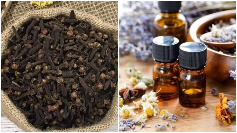 mẹo chữa đau răng sâu