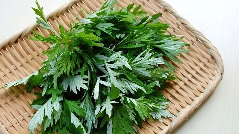 Mẹo chữa tê bì chân tay