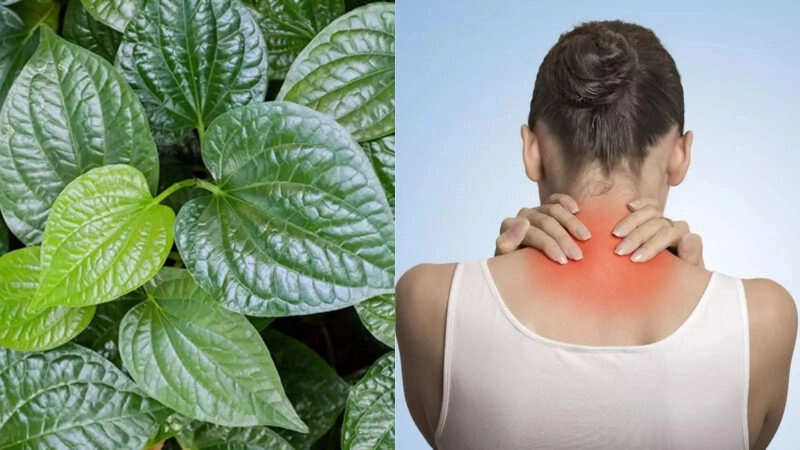 Mẹo dân gian chữa đau vai gáy