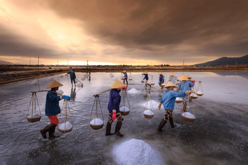 Ninh Thuận có gì chơi