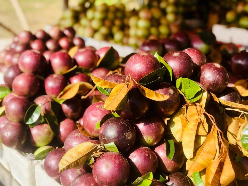 Đặc sản Sóc Trăng